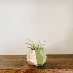 Mini Geo Air Plant Holder w/Air Plant Natural Wood image 5