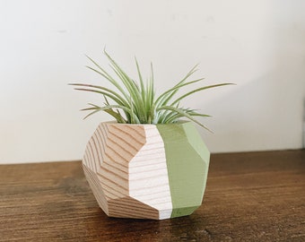 Mini Geo Air Plant Holder w/Air Plant (Natural Wood)