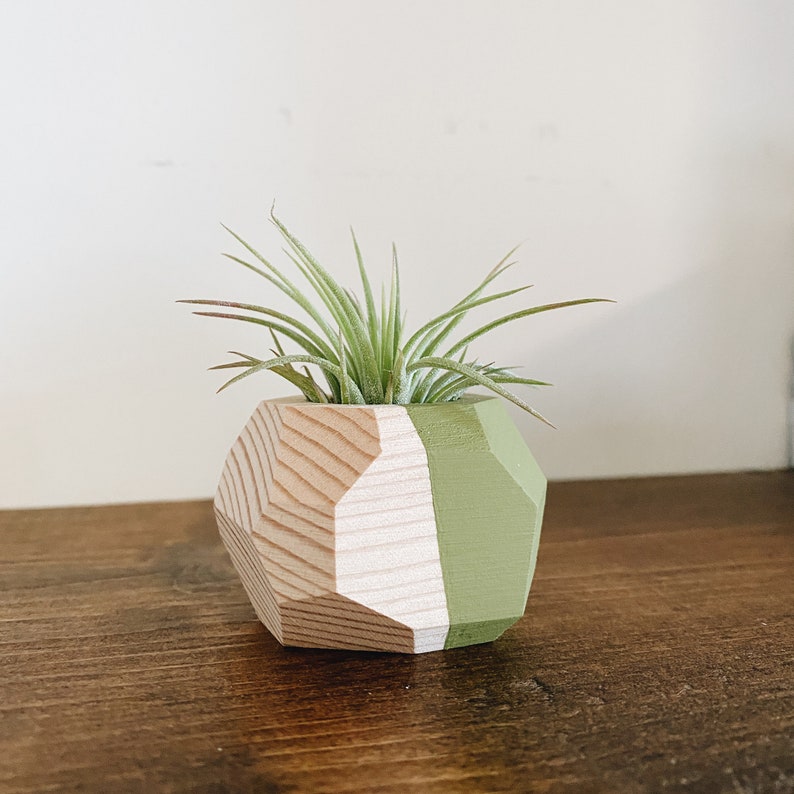 Mini Geo Air Plant Holder w/Air Plant Natural Wood image 1