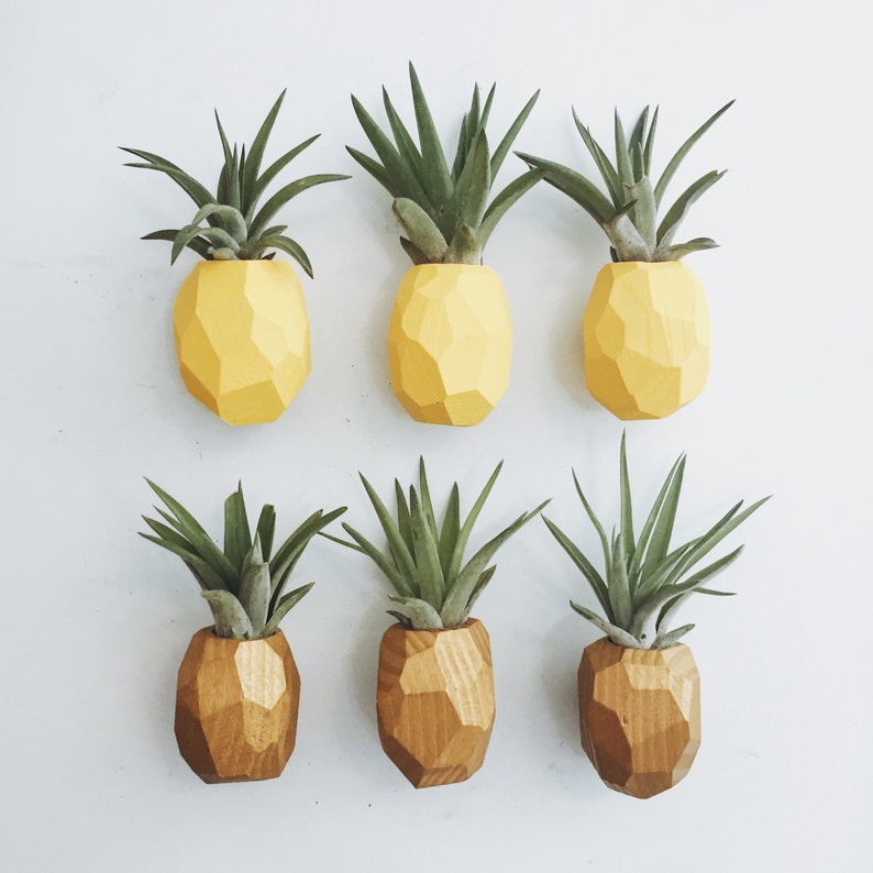 Pineapple Air Plant Magnet w/Air Plant image 2