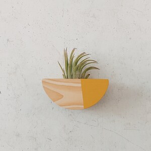 Half Circle Plant Magnet w/ Air Plant (Natural Wood)