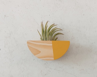 Half Circle Plant Magnet w/ Air Plant (Natural Wood)