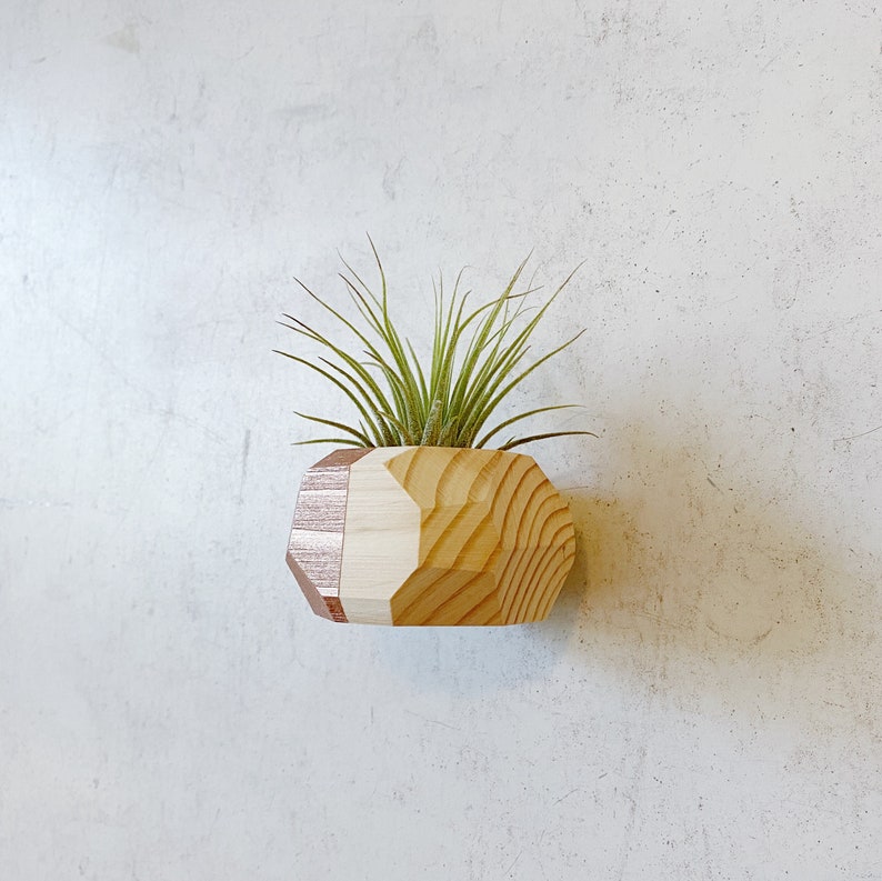 Mini Geo Magnet w/ Air Plant Natural Wood image 4