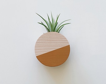 Circle Plant Magnet w/ Air Plant (Natural Wood)