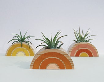 Rainbow Air Plant Holder w/ Air Plant (no magnet)