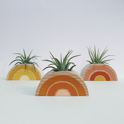 Air Plant Holder Etsy