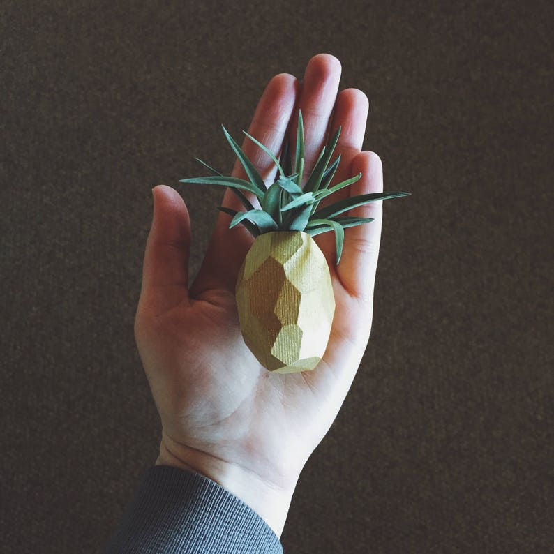 Pineapple Air Plant Magnet w/Air Plant image 3