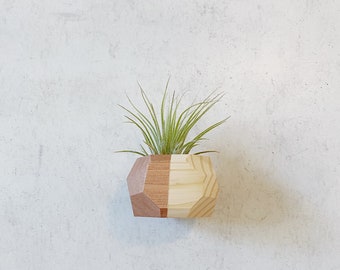 Mini Geo Magnet w/ Air Plant (Natural Wood)