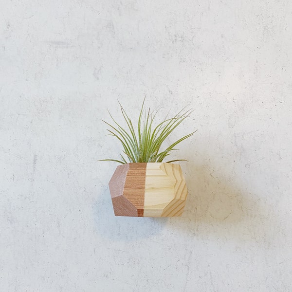 Mini Geo Magnet w/ Air Plant (Natural Wood)