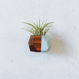 May include: A geometric wall-mounted planter featuring a faceted design. One half of the planter is finished in a rich, dark brown wood grain, while the other half is painted a solid light blue. A green air plant sits inside the top opening.