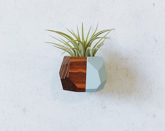 Mini Geo Magnet w/ Air Plant (Walnut Stain)