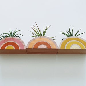 Rainbow Air Plant Holder w/ Air Plant no magnet image 7