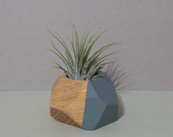 Mini Geo Reclaimed Wood Air Plant Holder, Warm Wood