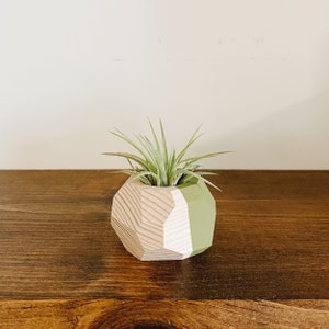 Mini Geo Air Plant Holder w/Air Plant Natural Wood image 4