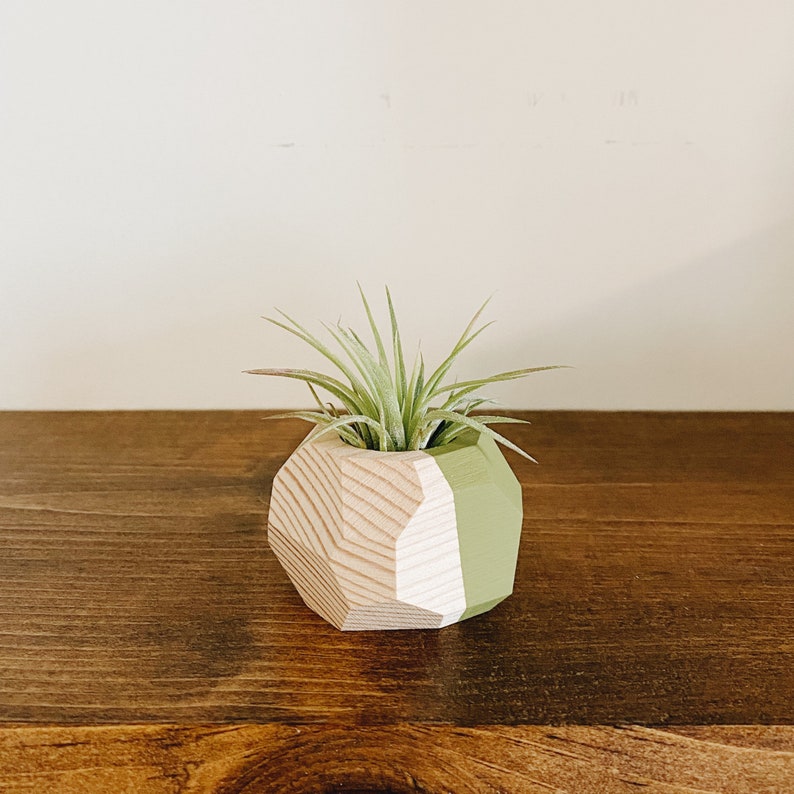 Mini Geo Air Plant Holder w/Air Plant Natural Wood image 4