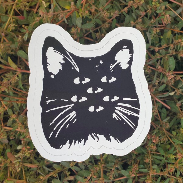 Hexacat Vinyl Decal and Bumper Sticker