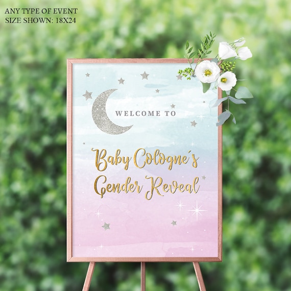 Twinkle Twinkle Welcome Sign , Gender Reveal Welcome Baby Sign, Pink or Blue Welcome Sign, Baby Shower Decor,Printed Or Digital File SWBS007 Il_570xn