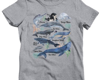 Kids Whale T Shirt Watercolor Whale Shirts Types of Whales Shirt