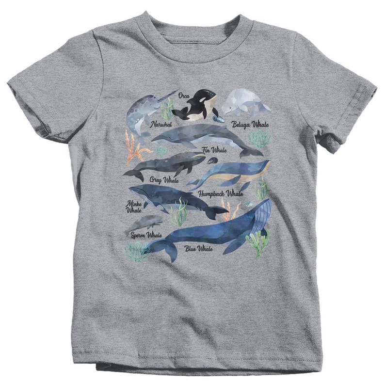Kids Whale T Shirt Watercolor Whale Shirts Types of Whales Etsy