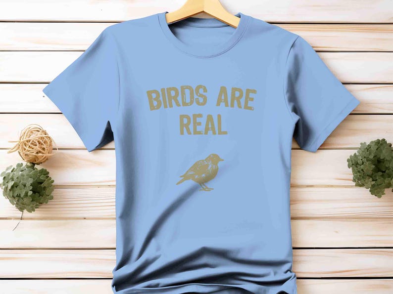 K&ouml;nnte beinhalten: Hellblaues T-Shirt mit dem Text "BIRDS ARE REAL" in goldfarbenen Buchstaben. Unter dem Text befindet sich eine goldfarbene Vogelgrafik. Das T-Shirt h&auml;ngt an einem Holzb&uuml;gel vor einem hellen Holz Hintergrund.