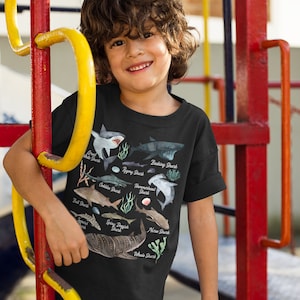 Kids Shark T Shirt Watercolor Shark Shirts Types Of Sharks Shirt Illustrated T Shirt Shark Gift Idea