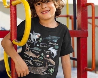 Kids Watercolor Shark T-Shirt: Illustrated Shark Types