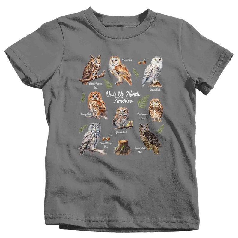 May include: A gray t-shirt with a graphic of different types of owls from North America. The owls are illustrated in a watercolor style and each owl has its name written below it. The text "Owls Of North America" is written in a stylized font at the top of the graphic.