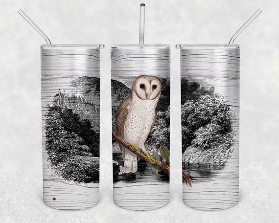 Delicate Owl Tumbler With Stainless Steel Straw Skinny Tumbler Gorgeous Illustrated Owl Gift Idea Travel Mug Cold Hot Vacuum Lid