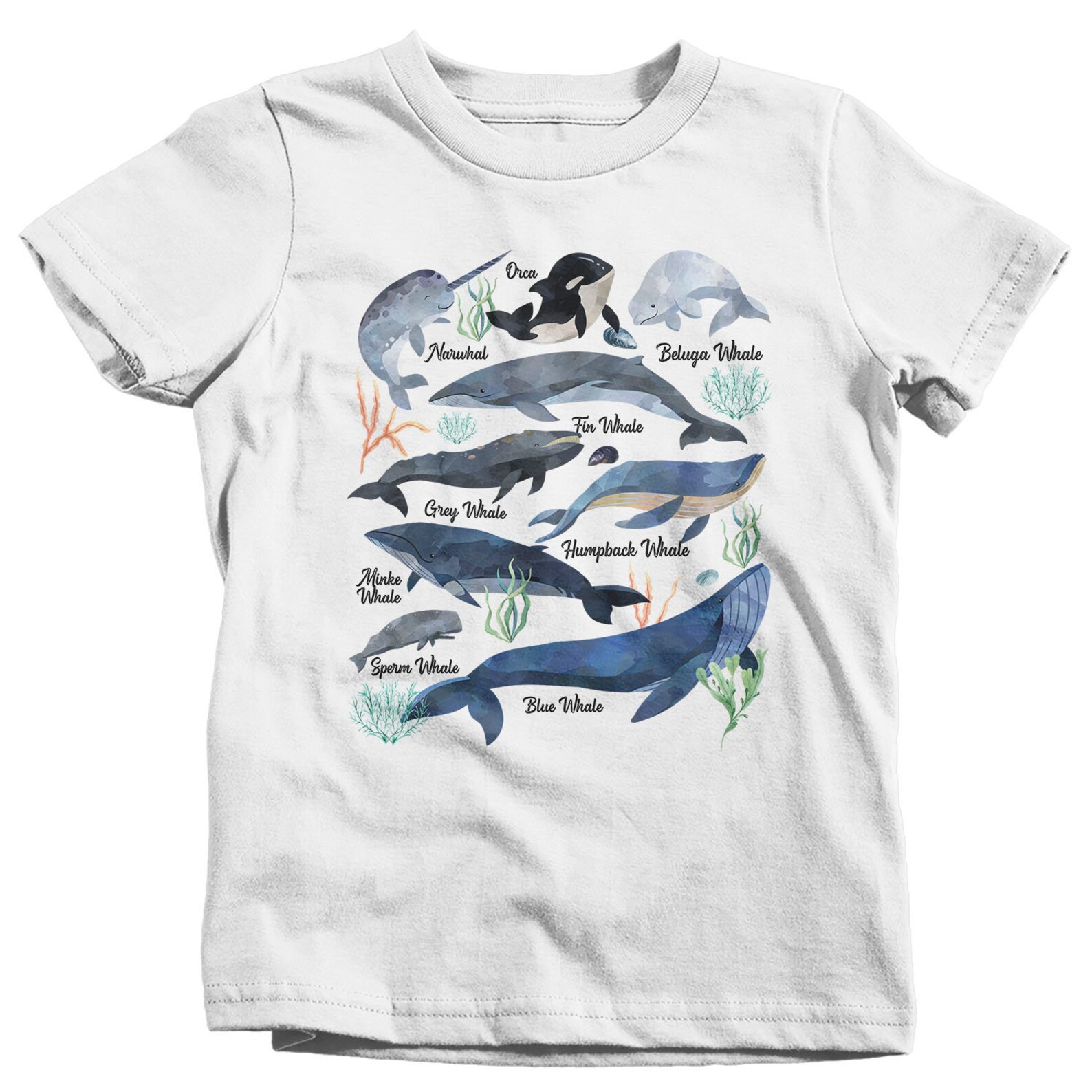 Kids Whale T Shirt Watercolor Whale Shirts Types Of Whales Etsy