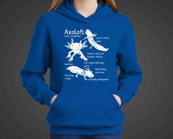Kids Axolotl Hoodie Amphibian Hooded Sweatshirt Facts Species Hoody Types Endangered Animals Illustration Gift Idea Youth Unisex Fleece