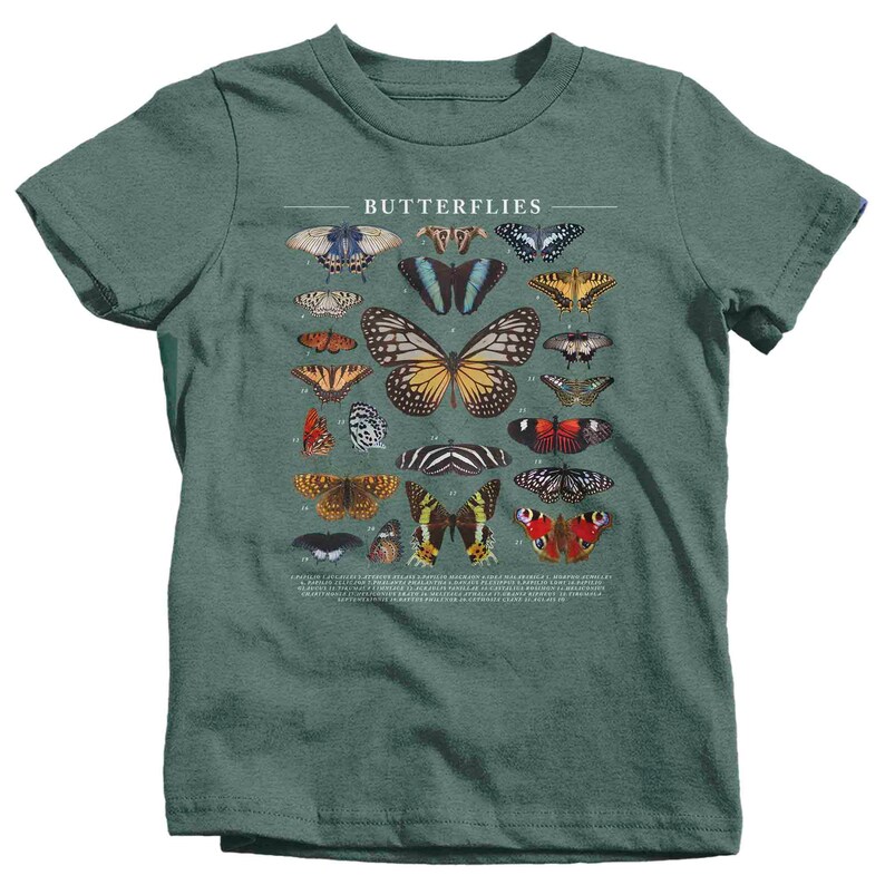 May include: A green t-shirt with a graphic of butterflies. The butterflies are numbered and labeled with their scientific names. The text "Butterflies" is printed at the top of the graphic.