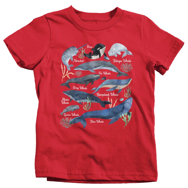 Kids Whale T Shirt Watercolor Whale Shirts Types Of Whales Etsy