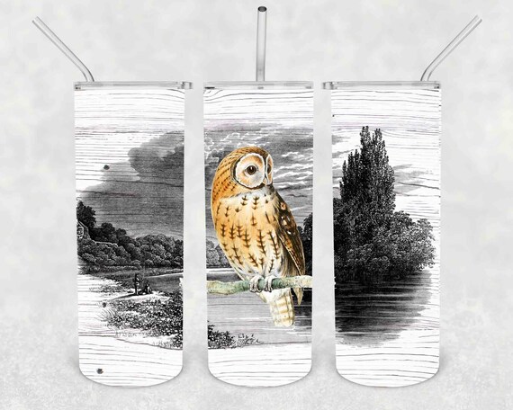 Tawny Owl Tumbler With Stainless Steel Straw Skinny Tumbler Gorgeous Illustrated Owl Gift Idea Travel Mug Cold Hot Vacuum Lid