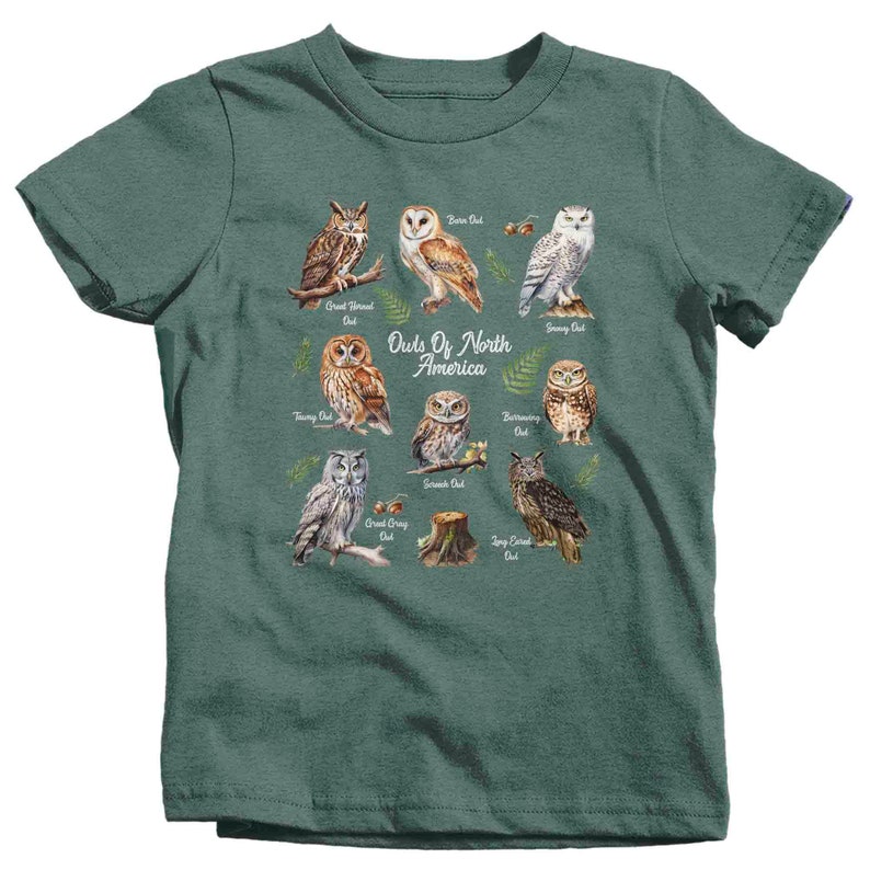 May include: A green t-shirt with a graphic of different owls from North America. The owls are illustrated in a watercolor style and are surrounded by leaves and branches. The text "Owls Of North America" is printed in white on the shirt.