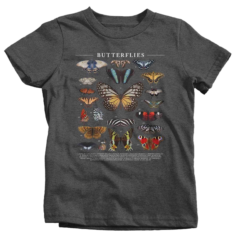 May include: A dark heather grey t-shirt with a graphic print of butterflies. The text "Butterflies" is printed at the top of the graphic. The graphic includes 20 different butterflies with numbers and names.