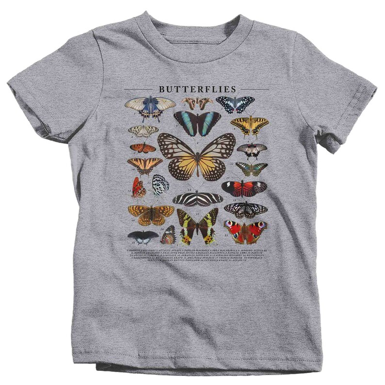 May include: A gray t-shirt with a vintage illustration of butterflies. The illustration includes 20 different species of butterflies with their scientific names and numbers. The text "Butterflies" is at the top of the illustration.