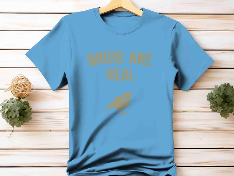 K&ouml;nnte beinhalten: Hellblaues T-Shirt mit dem goldenen Schriftzug "BIRDS ARE REAL" und einer goldenen Vogelgrafik. Das T-Shirt wird auf einem Holzkleiderb&uuml;gel pr&auml;sentiert.