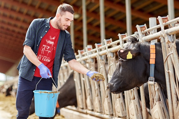 Men's Vintage Farm Shirt Life Is Better On Shirt Cow Pig Farmer Gift Idea Chicken Illustration Farming Agriculture Tee Unisex Man