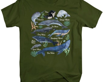Watercolor Whale T-shirt: Illustrated Whale Species Graphic Tee