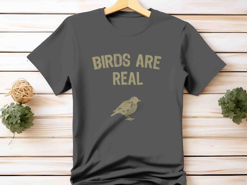 K&ouml;nnte beinhalten: Dunkelgraues T-Shirt mit dem Text "BIRDS ARE REAL" in verblichener Schrift, &uuml;ber einer detaillierten Vogelillustration. Das T-Shirt h&auml;ngt an einem Holzkleiderb&uuml;gel.