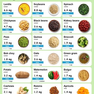 Vegan Food Charts 8 X 10 - Etsy