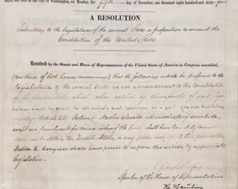 13th Amendment 8x10
