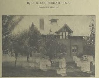 Beekeeping Manual PDF