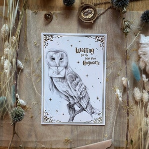 Postal Wizard Magic World Print A5 - Búho blanco y negro con inserciones doradas en relieve con letra de la escuela mágica "esperando mi carta"