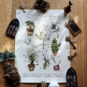 Pode incluir: Uma ilustração em aquarela de várias plantas mágicas do universo de Harry Potter. As plantas estão etiquetadas com seus nomes: Mandrágora, Ditany, Mindless Minkletna, Bouncing Bulb, Gillyweed, Urmont Fatema, Dirigible Plum e Mating Grass.