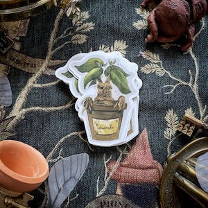 Wizard Magic World Sticker  - Magical Sticker - herbology Mandrake - Magic School