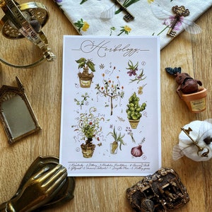 Cartão postal Wizard Magic World Print A5 - Herbologia - Herbário com plantas mágicas e inserção de ouro artesanal - mandrágora - escola de magia