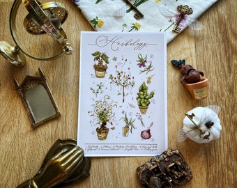 Wizard Magic World Print A5 Postcard - Herbology - Herbarium with magical plants and handmade gold insert - mandrake - magic school