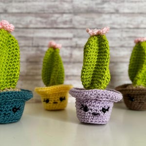 Crochet Cactus Plushie-Echinopsis