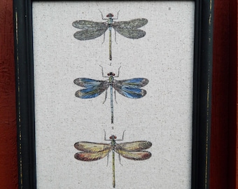 Dragonfly Print -  Black Frame - Wedding Gift - Wall Decor  - House Warming Gift Wall Art